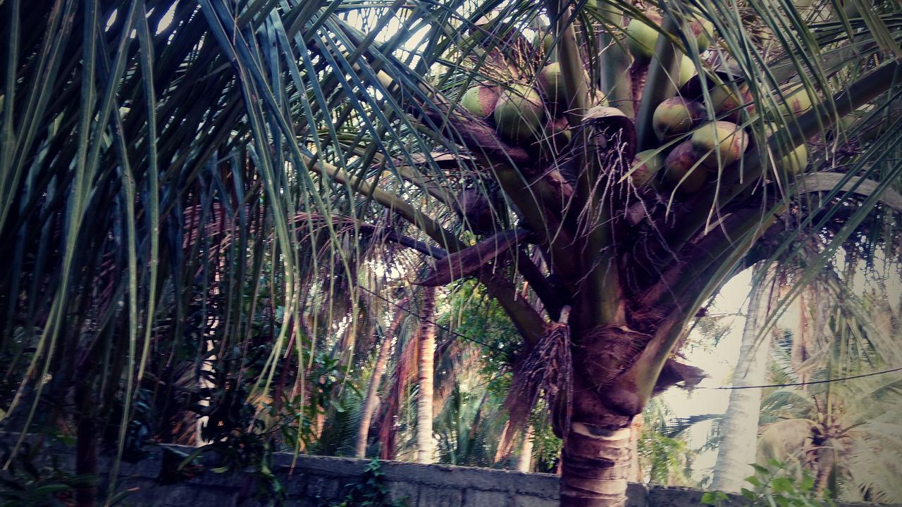نيجومبو Sampathaa Residence المظهر الخارجي الصورة