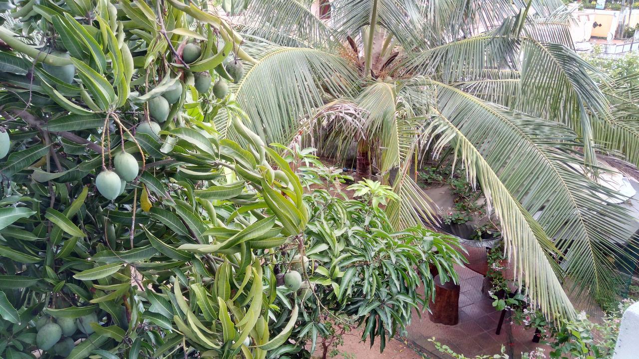 نيجومبو Sampathaa Residence المظهر الخارجي الصورة