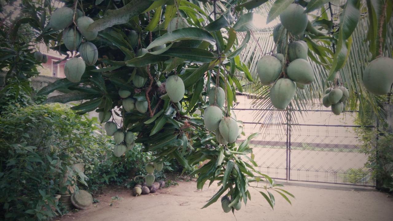 نيجومبو Sampathaa Residence المظهر الخارجي الصورة