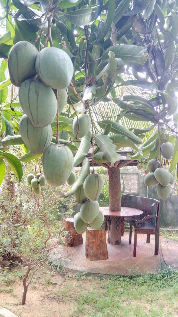 نيجومبو Sampathaa Residence المظهر الخارجي الصورة