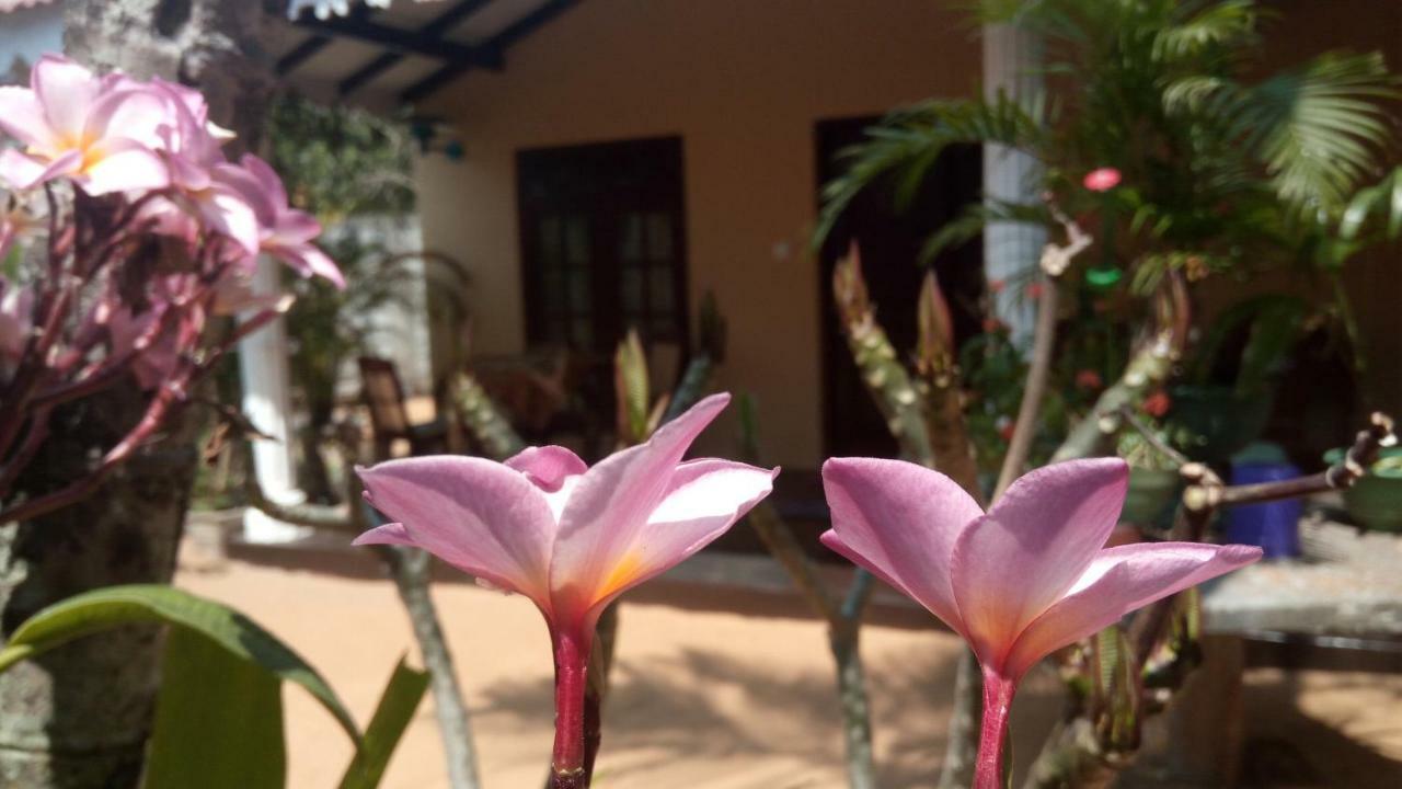 نيجومبو Sampathaa Residence الغرفة الصورة